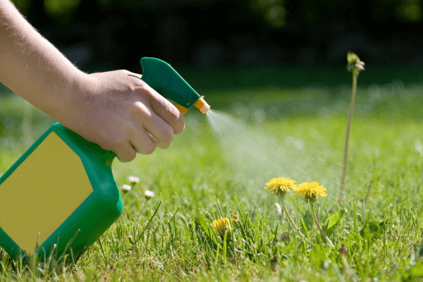 How to Use Vinegar to Kill weeds